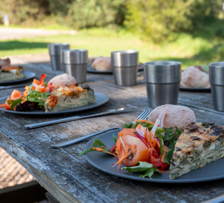Eden: Panboola Wetlands and Potoroo Palace Tour with Lunch