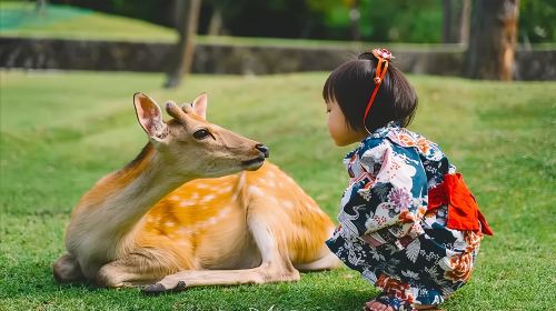 1-day tour to Arashiyama & Katsuo-ji in Kyoto, Japan with Chinese-speaking guide