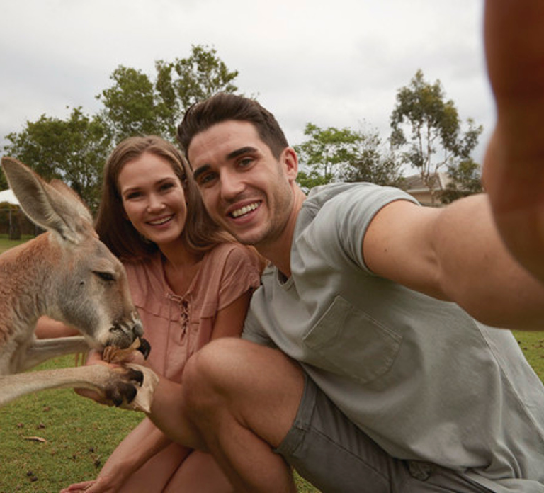 Brisbane River Cruise and Koala Sanctuary Visit