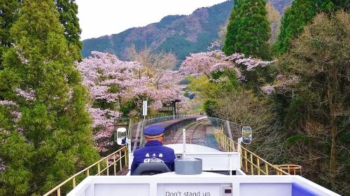 Kyushu Nature Escape Day Tour: Takachiho Gorge, Amano-Iwato & More Day Tours