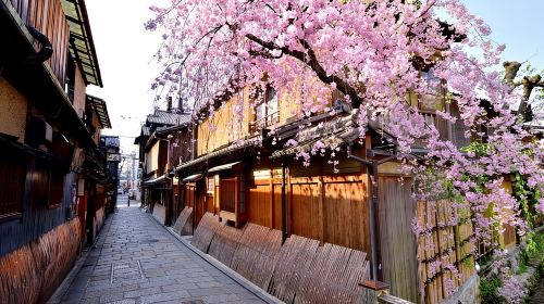 Kyoto 5-Star Geisha Night Walk: Small-Group Authentic Experience