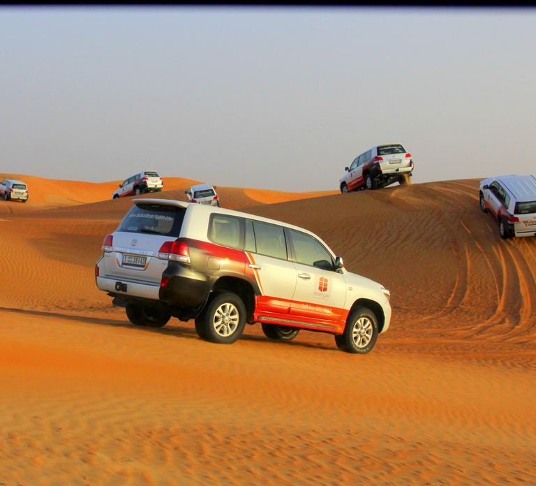 Dubai: Bedouin Camp, Dune Safari, Falcon Show & BBQ Dinner