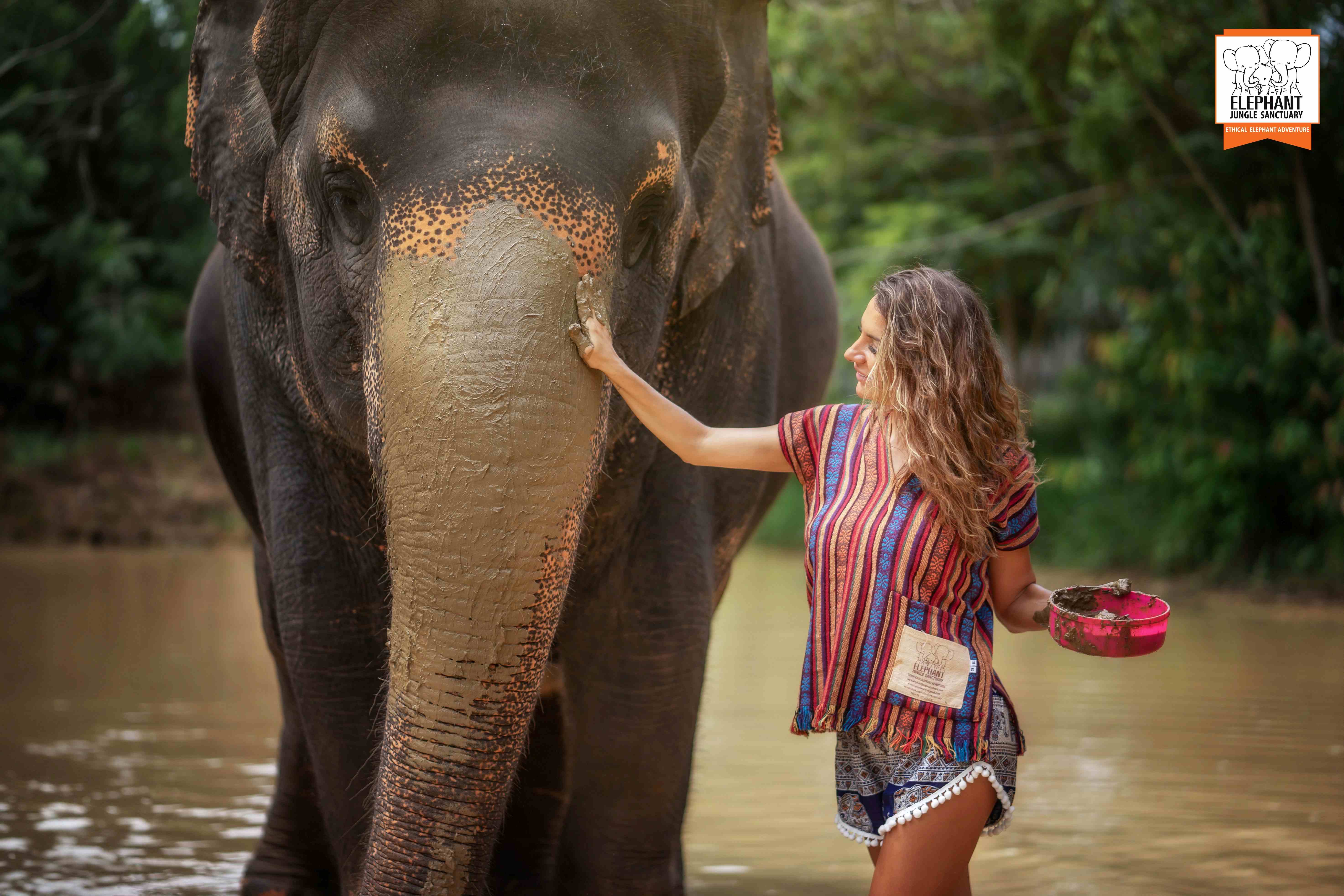 Elephant Jungle Sanctuary - Phuket