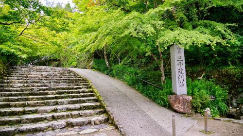 Kyoto Arashiyama 1-day Tour – Sagano Scenic Railway, Bamboo Forest Path