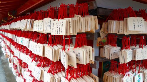 YokaBus Fukuoka Cruise Shore Excursion Dazaifu Half Day Tour Day Tours