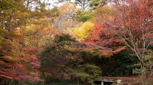 Private Car Day Trip to the Kobe Mountains, Gardens and Hot Springs from Osaka