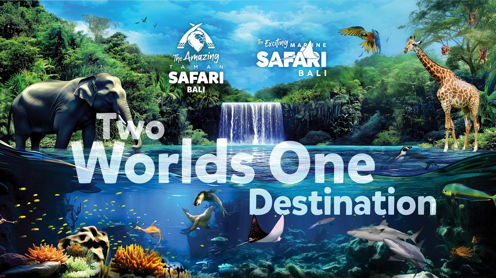 Safari + Marine Ticket Bundle