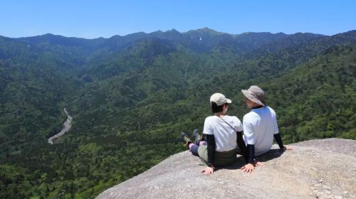 1-day tour to Yakushima's Shiratani Unsuikyo ravine – Step into the magical moss kingdom of Princess Mononoke