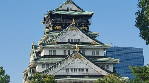 Osaka Walking Day Tours
