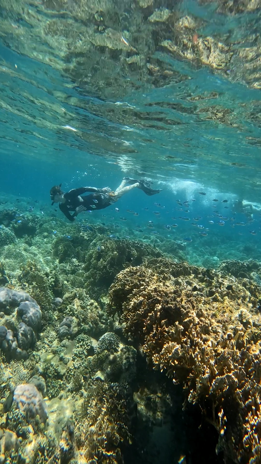 Secrate Island Private Snorkling Tour in lombok with go pro