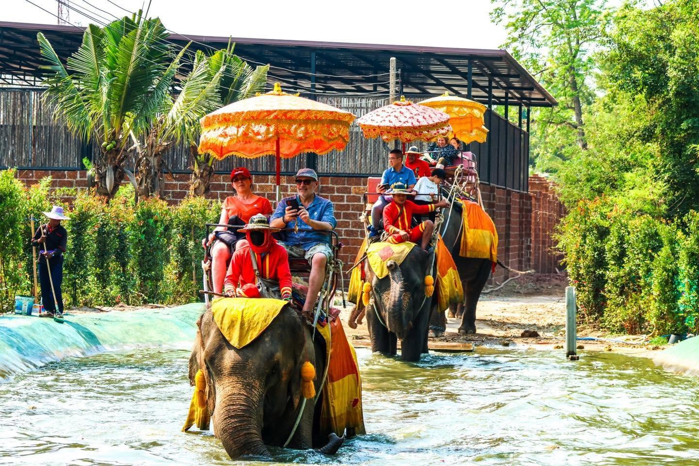 Chang Puak Camp Damnoen Saduak (Tiger & Liger Photo Experience)