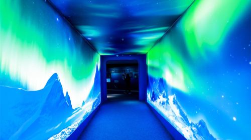 Shanghai Ocean Aquarium