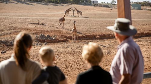 Monarto Safari Park: General Admission Tickets Day Tours