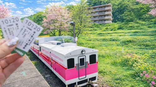 Kyushu Nature Escape Day Tour: Takachiho Gorge, Amano-Iwato & More Day Tours