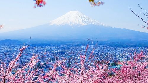 Tokyo Mt. Fuji 5th Station, Oshino Hakkai, Gotemba Premium Outlets, or optional day trip to an onsen (hot spring) at your own expense. Day Tours