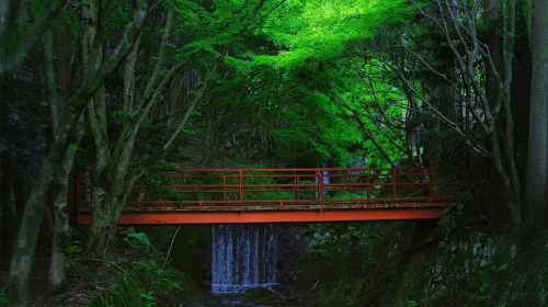 Small group of 9: Kyoto Arashiyama + Kifune Shrine + Sanzen-in 1-day tour with optional Sagano Scenic Railway