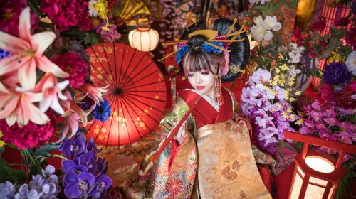 Oiran Studio Eight Colors: Oiran Transformation Costume Experience