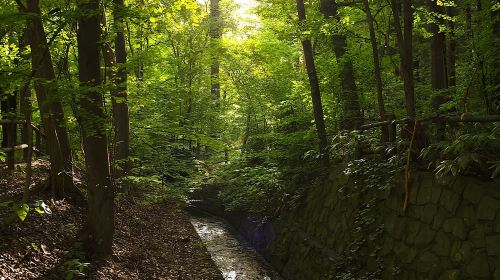 Sapporo: Mt. Maruyama Hike & Okurayama Ski Jump Day Tours