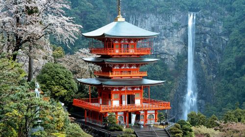 1-day tour of Kumano-Kodo Nakahechi Pilgrimage Route light hiking in Nagoya, Japan
