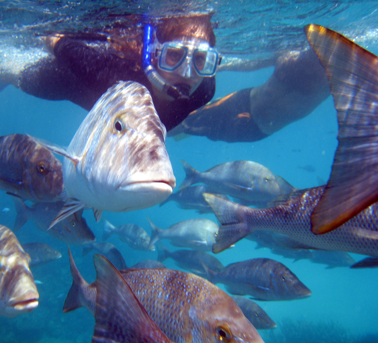 Coral Bay: 2-Hour Coral Viewing and Snorkeling