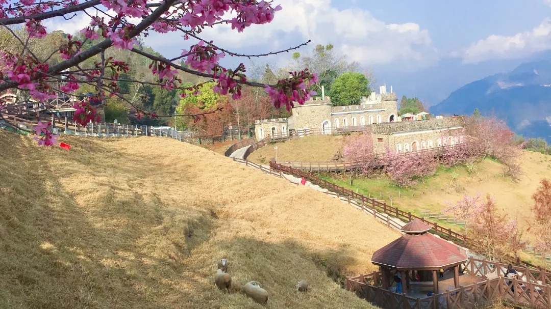 1-Day Tour to Sun Moon Lake and Qingjing Farm with Taichung City Pickup
