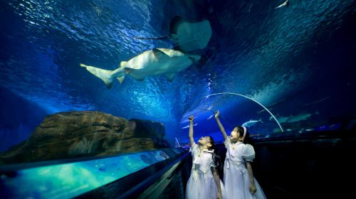 Shanghai Ocean Aquarium