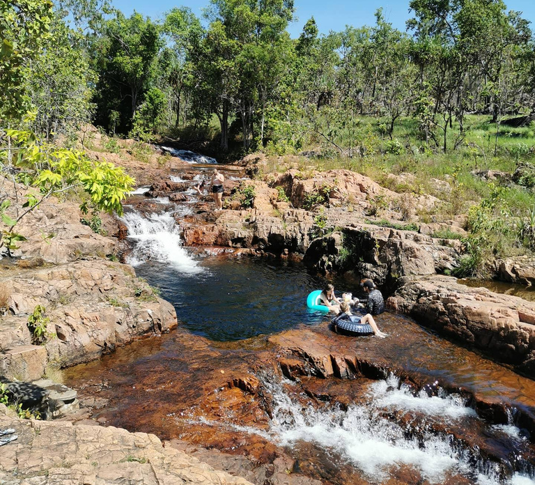 From Darwin: Litchfield National Park Small-Group Day Trip