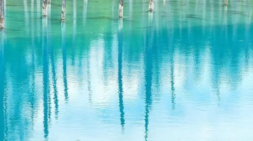 Biei, Hokkaido 1-Day Tour: Shirogane Blue Pond, Shikisai-no-Oka & Farm Tomita from Sapporo
