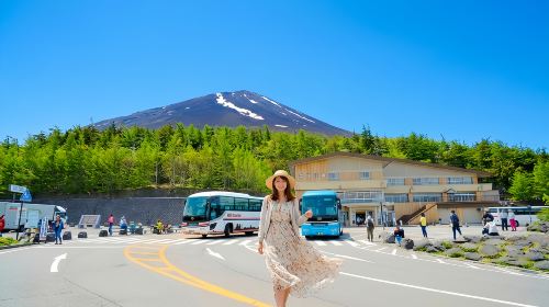 Tokyo Mount Fuji 1-day tour to Fuji Subaru Line 5th Station – Oshino Hakkai