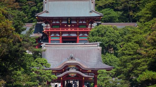 Tokyo: Kamakura & Enoshima Day Tour with Pickup & Train Ride Day Tours