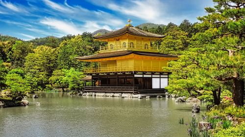 Kyoto in a Day: The Ultimate Top 4 Highlights Tour (From Osaka/Kyoto) Day Tours