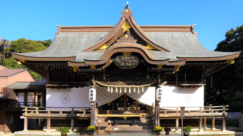 Japan's top 3 light shows: 1-day tour to Hikari no Hanazono Garden & Ibaraki's red kochia fields