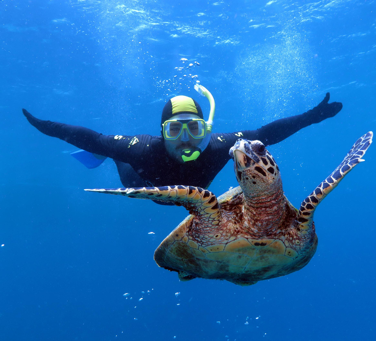 Port Douglas: Poseidon Outer Barrier Reef Dive and Snorkel