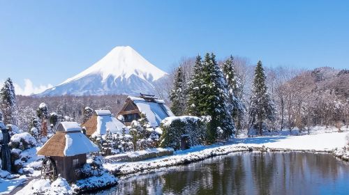 From Yokohama Port: Private 10-Hour Mount Fuji Tour