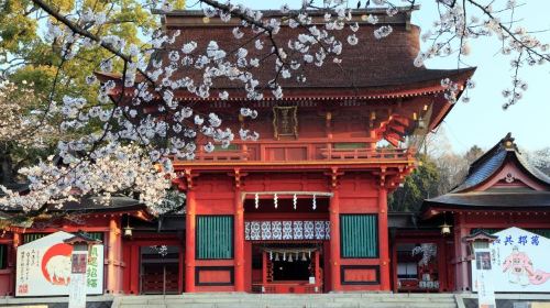 Nagoya Round Trip – Shizuoka Day Tour – Sengen Taisha, Shiraito Falls