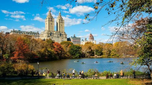 Central Park Private Pedicab Tour (60 mins) Day Tours
