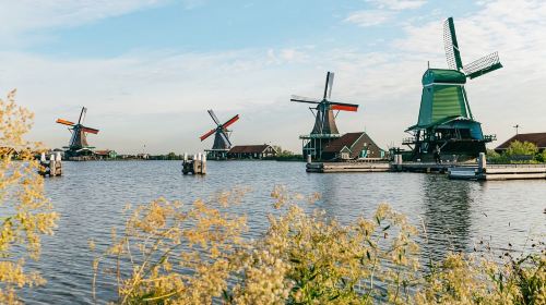 Day Tour to Windmill Village, Edam, and Marken from Amsterdam, Netherlands