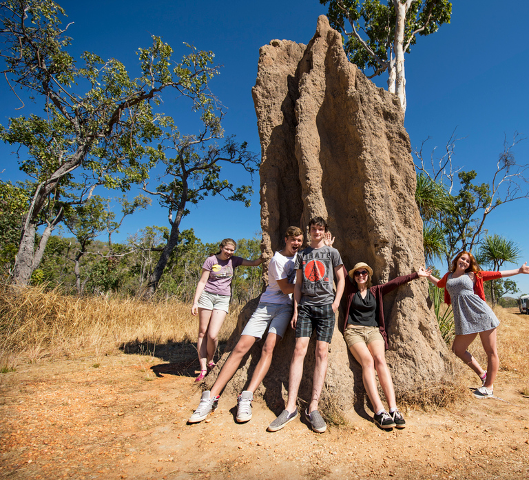 Darwin: Litchfield National Park Waterfalls & Wildlife Tour