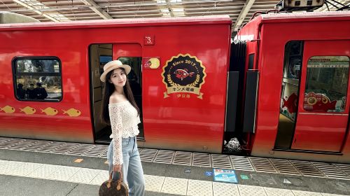 Japan Tokyo Izu 1-day tour – Mt. Omuro, zoo, scenic train experience