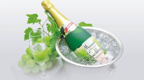Kurashiki Bikan Historical Quarter