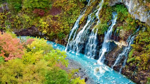 Hokkaido Summer Flower Viewing 1-Day Tour: Panoramic Flower Gardens Shikisai-no-oka, Farm Tomita, Shirogane Blue Pond (Aoiike), Shirahige Waterfall Day Tours