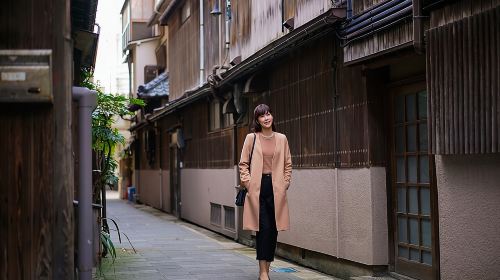 Port Pick-Up: Niigata Private Tour Licensed Guide& Vehicle Day Tours