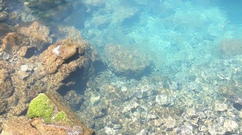 Japan Kitakyushu Yamaguchi Akiyoshido Cave + Motonosumi Shrine + Tsunoshima Bridge 1-day tour
