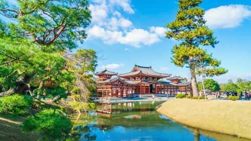 Nara Park + Uji 1-day tour