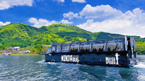 Hakone & Mount Fuji Day Trip from Tokyo (Hakone Shrine&Lake Ashi Floating Torii Gate&Ninja Bus&Hakone Ropeway&Owakudani&Lake Yamanaka | Small Group Max 9 | Hotel Pick-up Option)