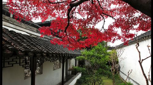 Suzhou City Highlights Day Tour – Humble Administrator's Garden, Tiger Hill