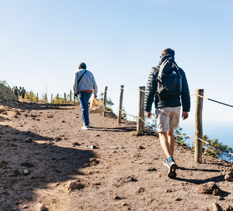From Naples: Mount Vesuvius with Entry Ticket