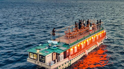 Tokyo: Yakatabune Cruise + Live Show Day Tours