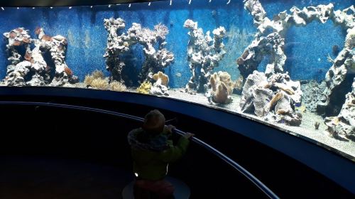 Loebbecke-Museum und Aquazoo