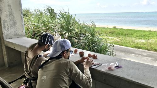 Okinawa On the Beach CAFE
